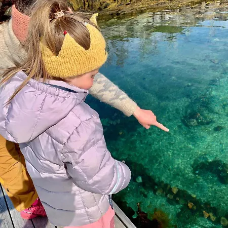 Risvaer Brygger * Digermulen