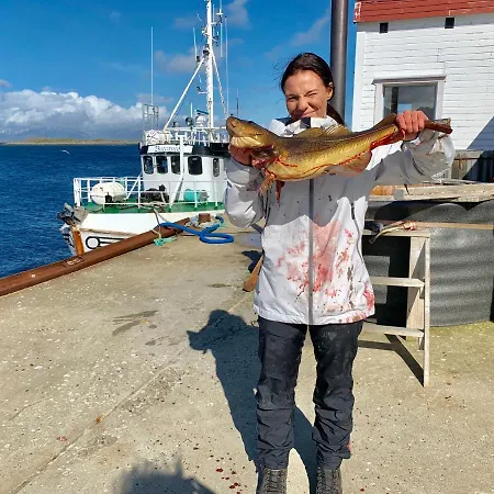 Risvaer Brygger Ξενοδοχείο Digermulen