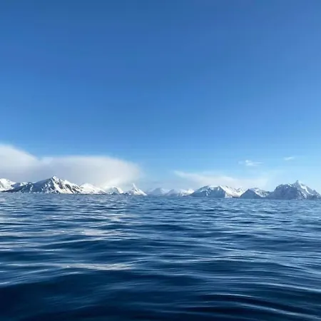 Risvaer Brygger * Digermulen