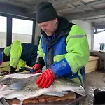 Szálloda Risvaer Brygger Digermulen