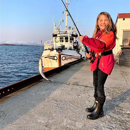Bed & Breakfast Risvaer Brygger *