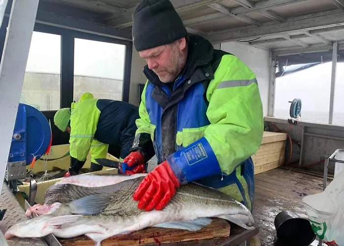 Hotel Risvaer Brygger Digermulen