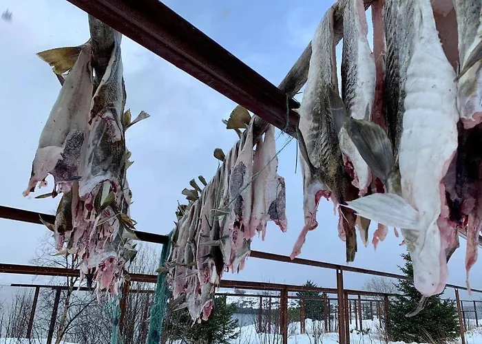 Hotel Risvaer Brygger Digermulen