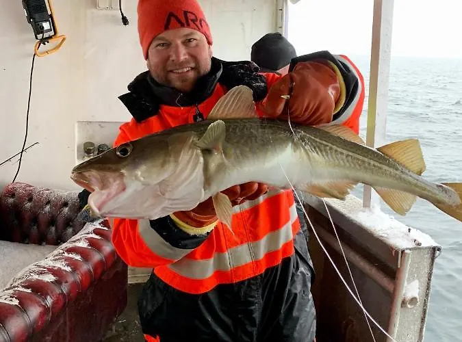 Risvaer Brygger Hotel *