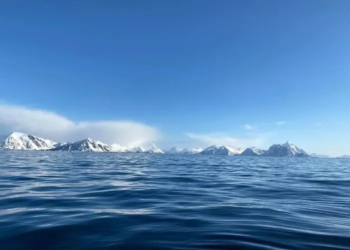 Risvaer Brygger * Digermulen