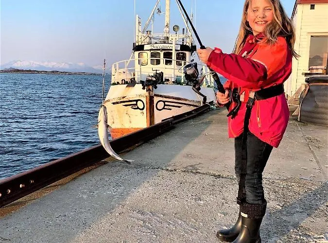 Hotel Risvaer Brygger *